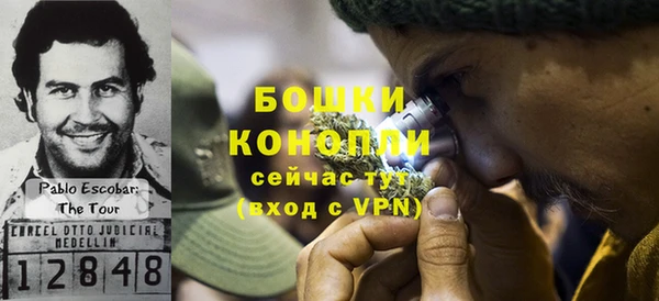 гидра Магас